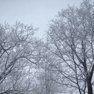 Meet your Posher, Toni